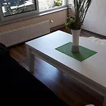 Sweet فيلة Hadžići