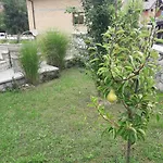 فيلة Sweet *